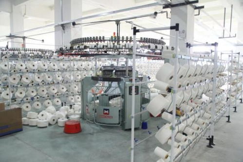 援疆暖民心 臺州助力新疆兵團第一師阿拉爾市民生發(fā)展技術(shù)開發(fā)紀(jì)實